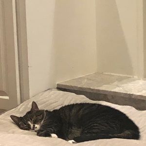 Meet your Posher, Timothy